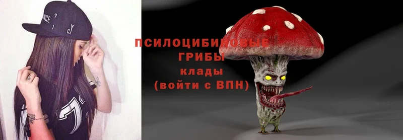 где купить наркоту  Зерноград  Псилоцибиновые грибы MAGIC MUSHROOMS 